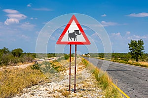 Warthogs crossing warning road sign placed along a road in Namibia
