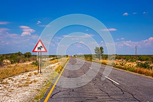 Warthogs crossing warning road sign placed along a road in Namibia