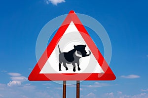 Warthogs crossing warning road sign