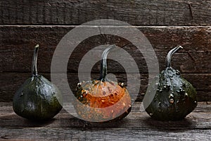 Warty Halloween pumpkins in old barn