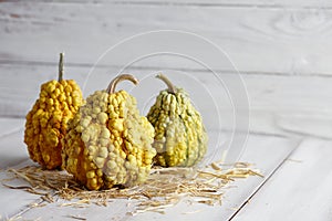 Warty halloween pumpkins on white planks