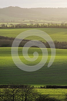 Warwickshire countryside