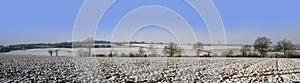 Warwickshire farmland covered photo