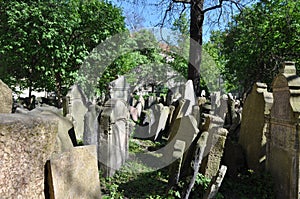 Old Jewish cemetery, Prague photo