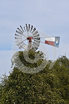 Texas Windmill and Yellow Jasmine in Tolar Texas.