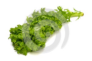 Wasabi Greens-Brassica juncea