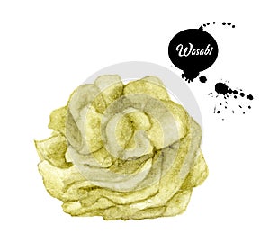 Wasabi isolated on white background ,Watercolor Japanese food