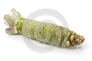 Wasabi, japanese horseradish