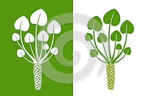 Wasabi plant logo. Isolated wasabi root on white background