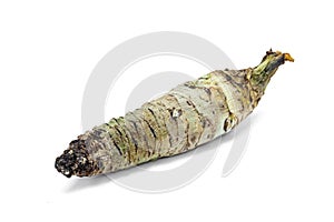 Wasabi root isolated on white background