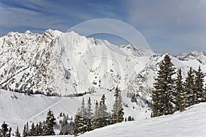 Wasatch Mountain img