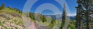 Wasatch Mountain landscape from Primrose Overlook Horse Spring hiking trail Timpanogos Rocky Mountains, Utah.