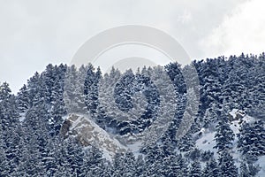 Wasatch Mountain peaks in northern utah in the wintertime