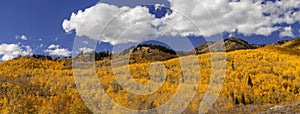 Wasatch mountain range in Utah covered with bright fall foliage