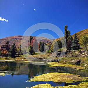 Wasatch Rocky Mountains on a bright fall day with pond and algae in the foreground and trees turning autumn colors in the backgrou