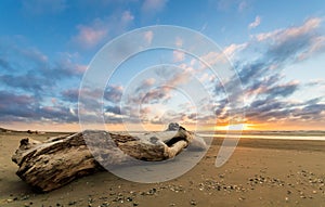 Beach Log Sunset