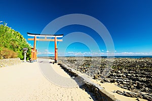 Washboard of Demon with torii in Aoshima, Miyazaki, Japan