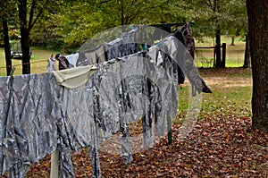 Washed and airing scent free hunting clothes