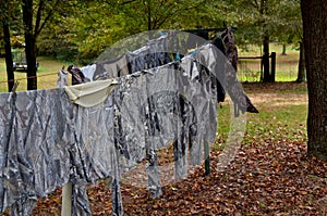 Washed and airing scent free hunting clothes photo