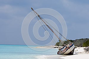 Washed Ashore photo