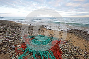 Washed Ashore photo