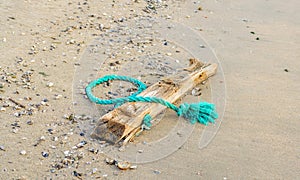 Washed ashore driftwood and frayed green braided synthetic rope