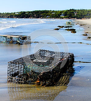 Washed ashore on the Maine Coast