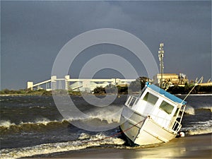 Washed ashore in the storm