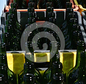 Washed bottles awaiting some wine