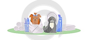 Washed dogs flat color vector character