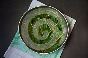 Washed green leaves of fresh sorrel are placed on a metal mesh to dry on a napkin close-up on a dark concrete background.