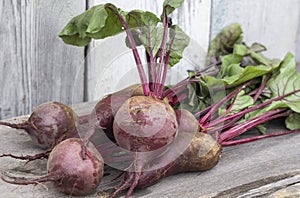 washed red beetroot, on a wooden background in natural light