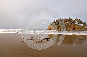 Washed up a proposal rock