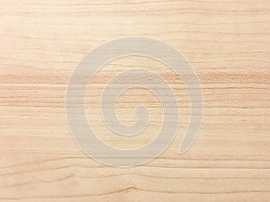 Washed wood background texture, white wooden textured backgrounds