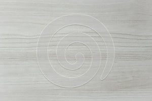 Washed wood texture background. surface of light wood texture for design and decoration, white background.