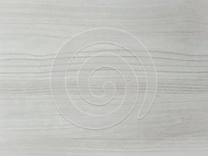 Washed wood texture background. surface of light wood texture for design and decoration, white background.