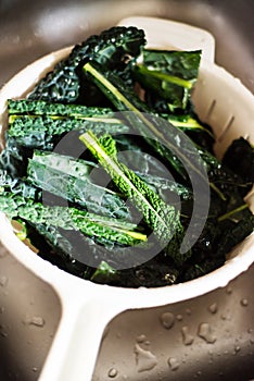 Washing black tuscan kale leaves