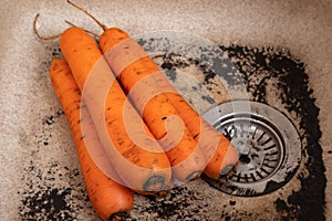 Washing carrot for lunch in a modern kitchen sink. Water rinsing carrot in sink