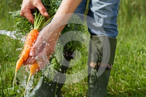 Washing carrots