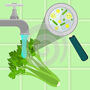 Washing contaminated celery photo