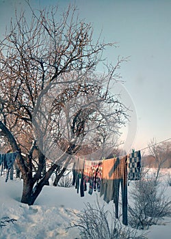 Washing laundry hangs on a rope in a rustic garden in winter in the frost.