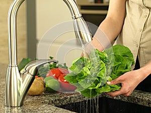 Washing lettuce photo