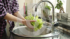 Washing lettuce leaves in the kitchen sink