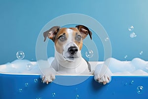 Washing pet. Cute dog in bath on blue background. Generative AI