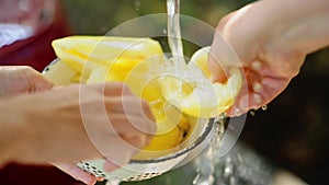 Washing vegetables pepper