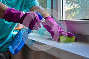 Washing windows. Female hands in gloves hold spray bottle with glass cleaner and sponge. woman washes window and sill in room