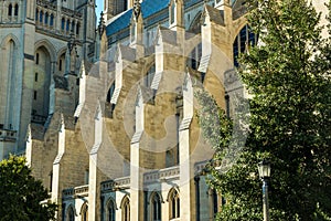 Washington Cathedral Detail