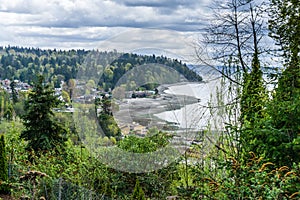 Washington Coast In Spring