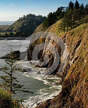 Washington Coastal Cliff