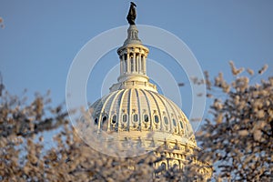 Washington DC, Capitol Building, Supreme Court, Washington monument, national mall. United States Capitol building icon